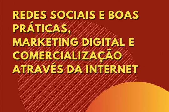 Redes Sociais e boas práticas, marketing digital e comercialização através da Internet